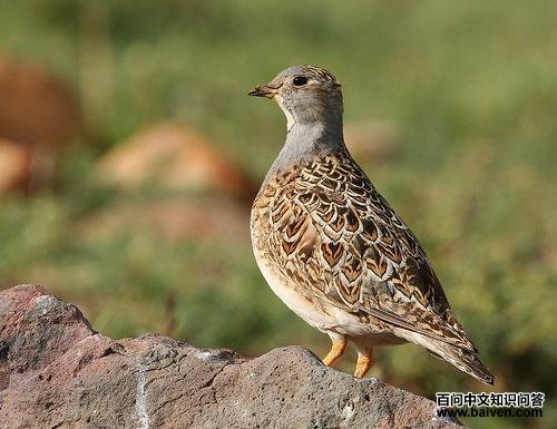 �������ֵ�ͼƬ