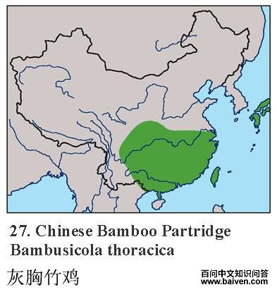 �����񼦣������ֲ�ͼ