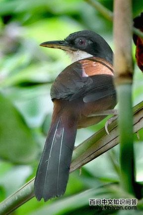 �������̵�ͼƬ