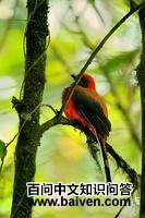 ����ҧ��