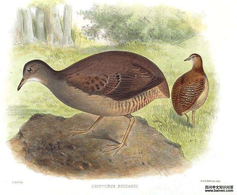 ����Ѩ[����]��ͼƬ