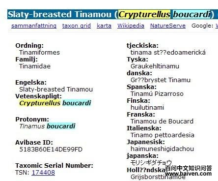 ����Ѩ[����]