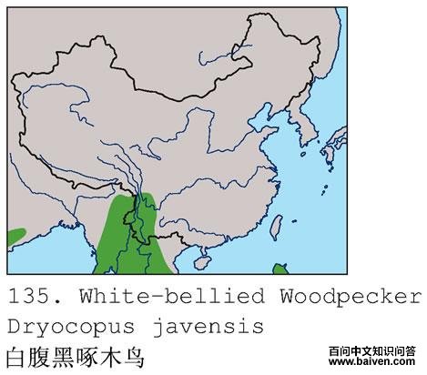 �׸�����ľ��