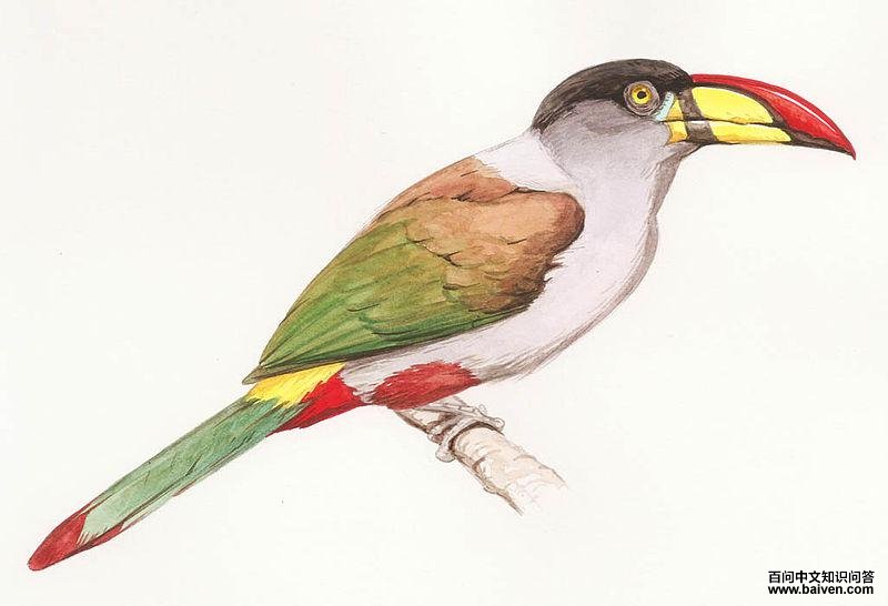 ����ɽ�������ͼƬ