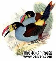 ����ɽ������