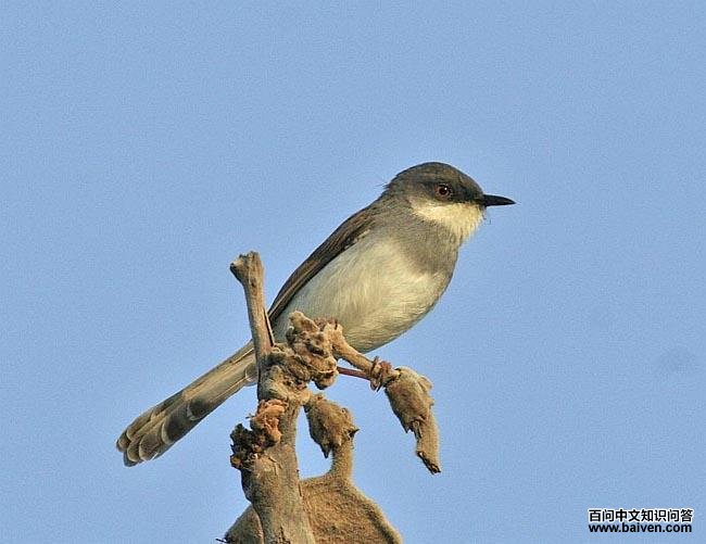 ����ɽ��ݺ��ͼƬ