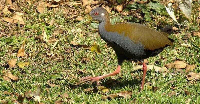 ������������ͼƬ