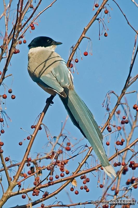 ��ϲȵ���棬��Ӱ�Ϲ���ˮ