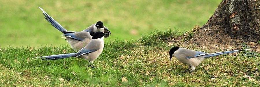 ��ϲȵ����ӰҰȤ