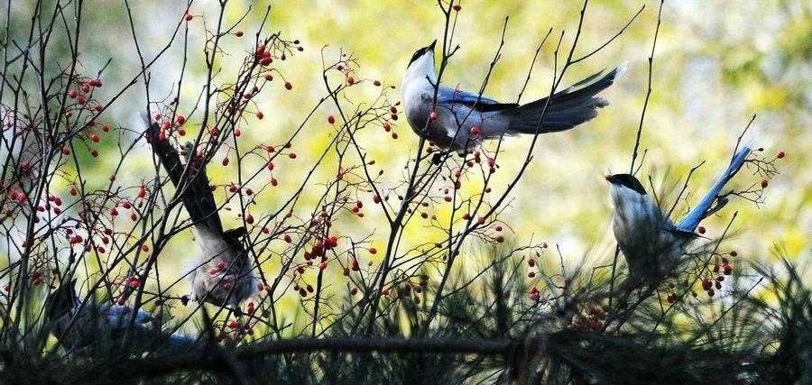 ��ϲȵ����Ӱ�����ˬ