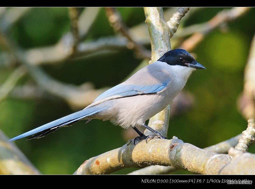 ��ϲȵ����Ӱ����ɽ�ˣ����ڹ㶫������