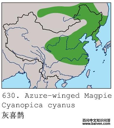 ��ϲȵ�������ֲ�ͼ