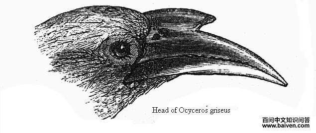 ��Ϭ������ͼƬ