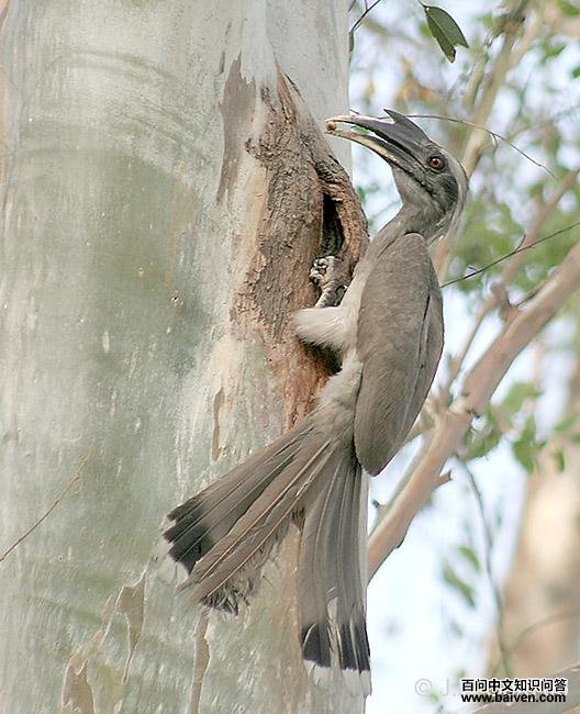 ��Ϭ���ͼƬ