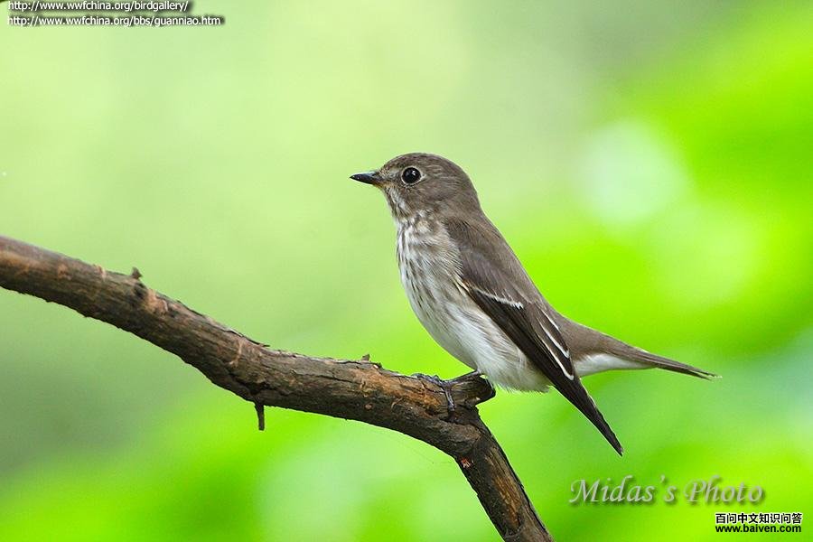 �����l��ͼƬ