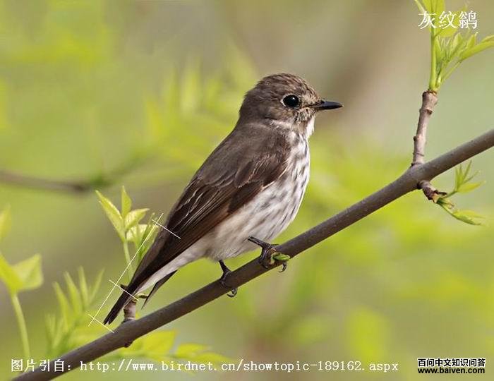 �����l���������������ǡ�β������2����