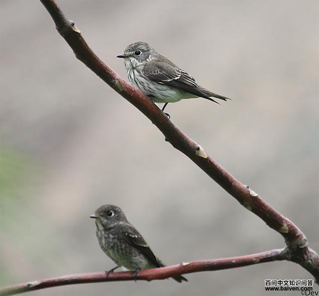 �����l���ϣ������l���£��ıȽ�