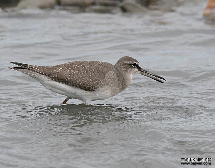 ��βƯ�ֵ�ͼƬ