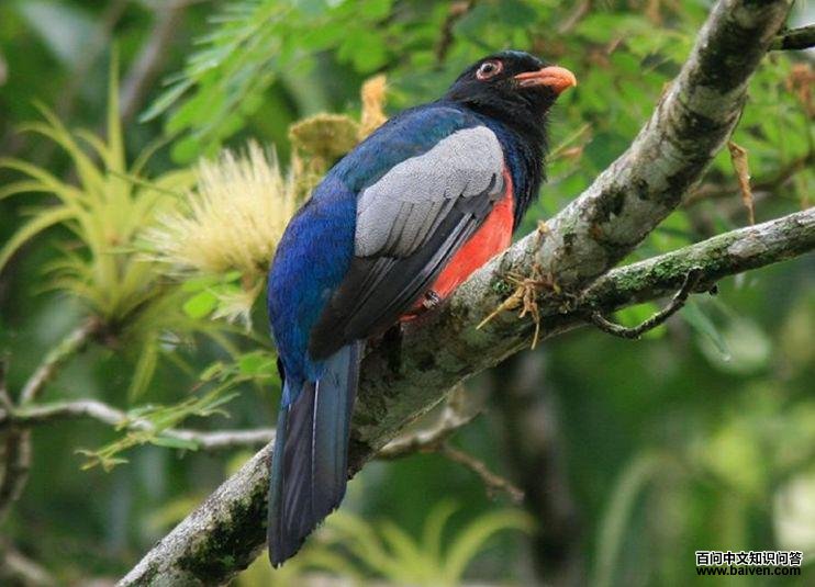 ��β����ҧ��