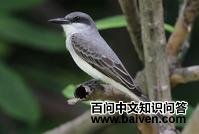 �������l