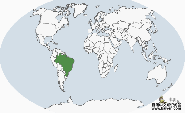 ��έ����