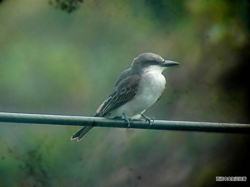 �������l��ͼƬ