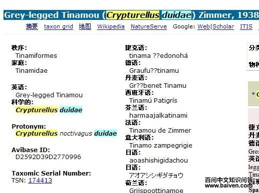 ����Ѩ[����]