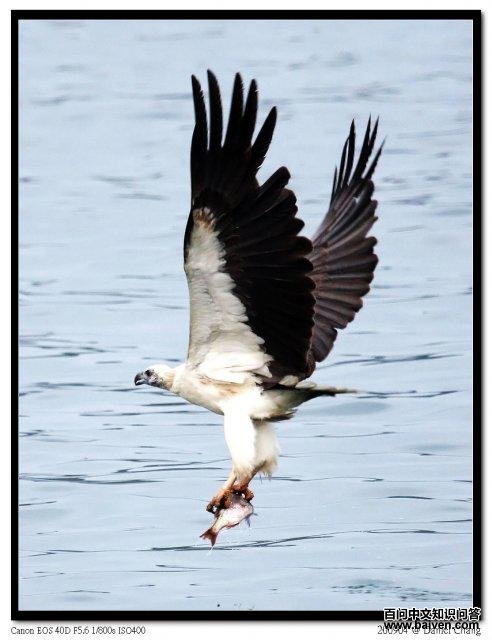 �׸�����