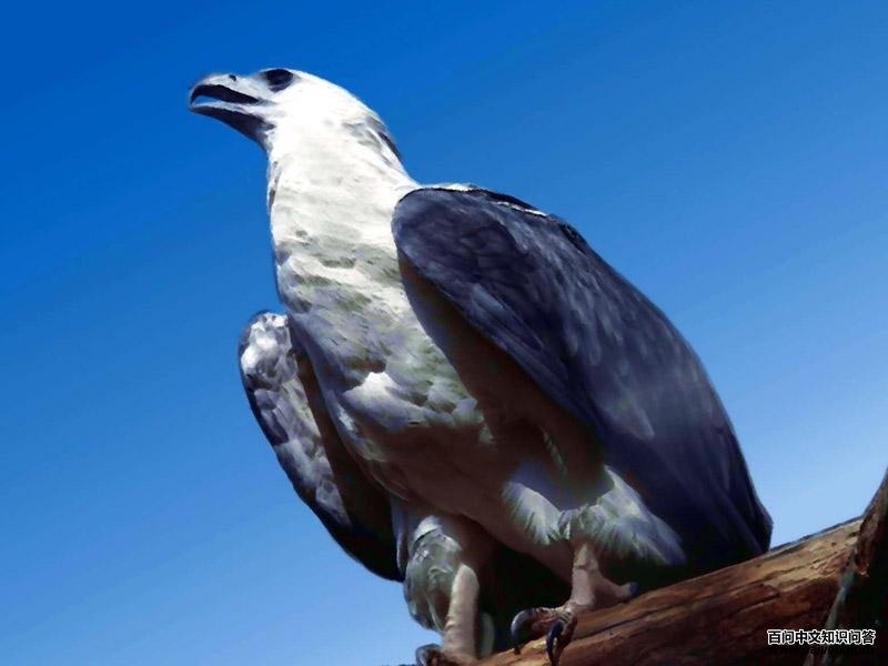 �׸�����