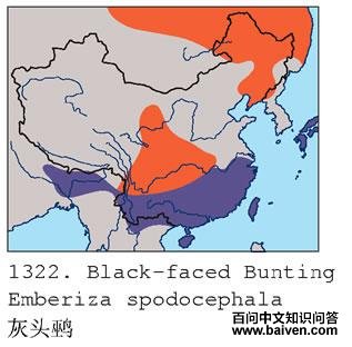 ��ͷ�c�������ֲ�ͼ