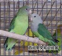 ��ͷ�������ĵ�ͼƬ