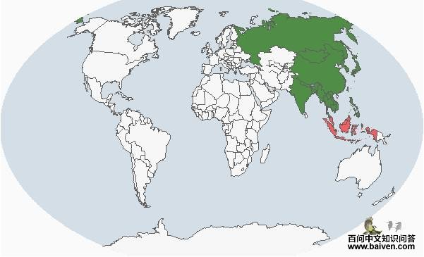 ��ͷ������ֲ�ͼ