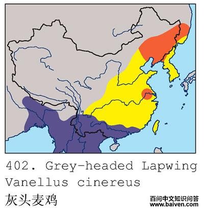 ��ͷ�󼦹��ڷֲ�ͼ