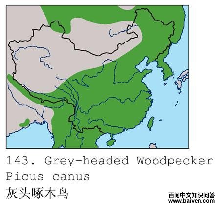 ��ͷ����ľ�񣺵����ֲ�ͼ