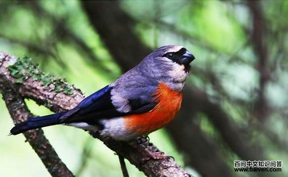 ��ͷ��ȸ������