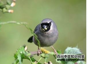 ��ͷ��ȸ������