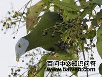 ��ͷ����ͼƬ