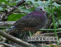 ��ͷ����ͼƬ