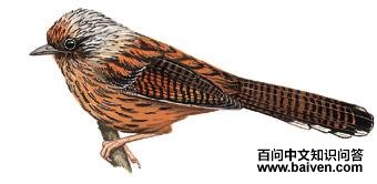 ��ͷ�߳��̵�ͼƬ