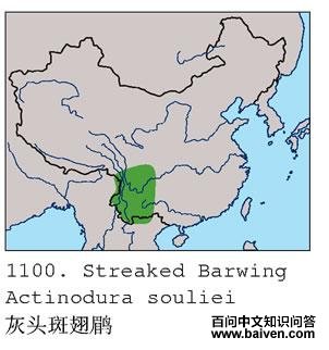 ��ͷ�߳���