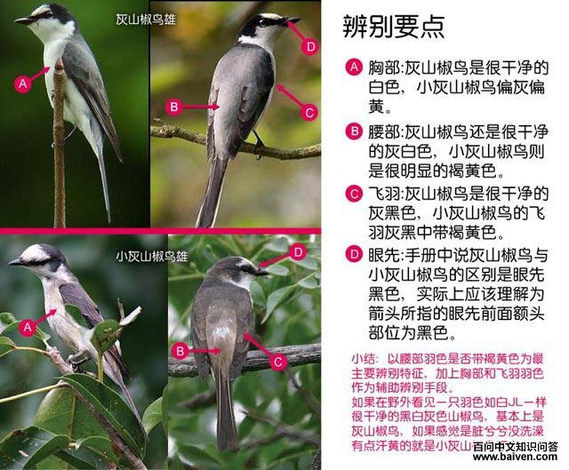 ��ɽ�����С��ɽ���������