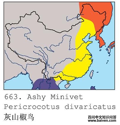 ��ɽ����