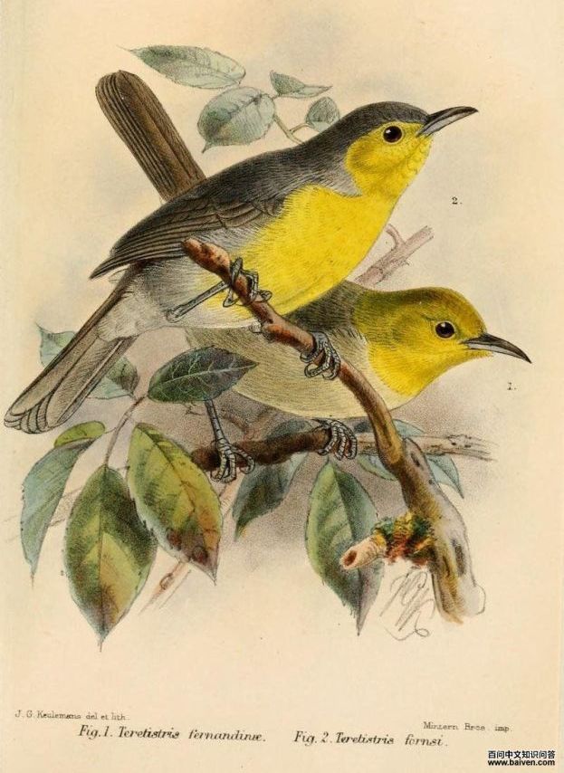 ��ɭݺ��ͼƬ