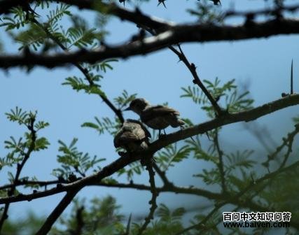 ����ȸ��ͼƬ