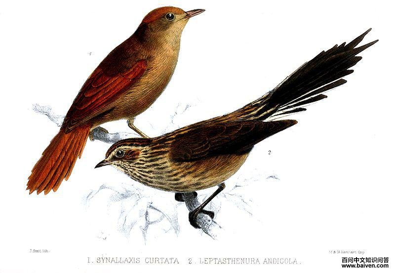 ��ü��βȸ��ͼƬ