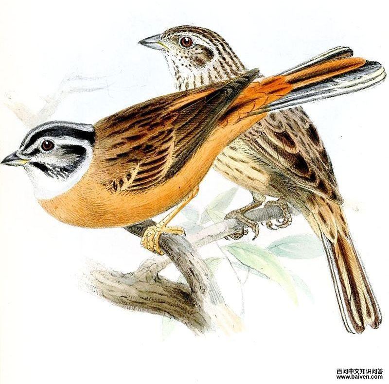 ��ü���c����̬����ͼ