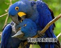 ���̽������