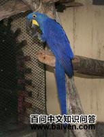 ���̽������