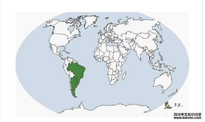 ���̽������