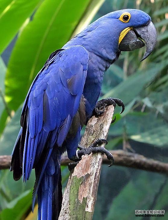 ���̽������